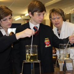 The Global Search for Education: What Did You Learn Today?