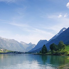 The Global Search for Education: Ticks – World’s Leading Scientists Will Meet in Oslo