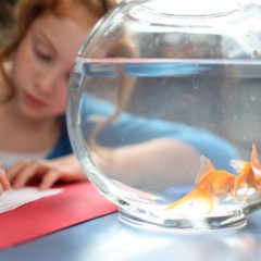 The Global Search for Education: New Study – Students Want Input