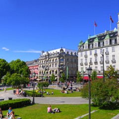 The Global Search for Education: Ticks – Research We Need