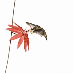 The Global Search for Education: The Top 10