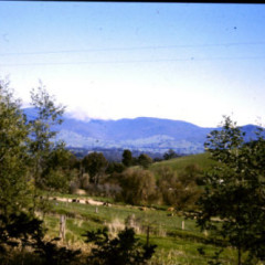 A Woman Alone – A Biography of Famed Novelist Mary Gaunt