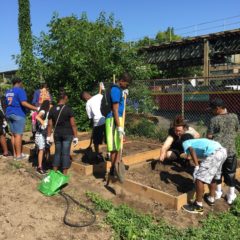 The Global Search for Education: Because They Matter