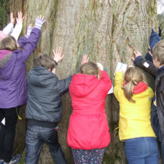 The Global Search for Education: I Have a Voice