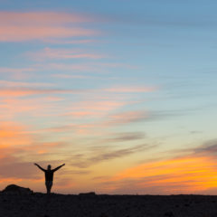 The Global Search for Education: Lessons in Happiness from our Global Millennials