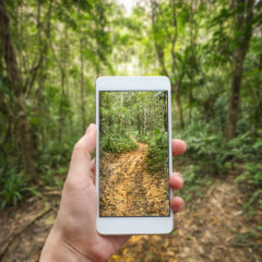 The Global Search for Education: Knowledge in the Age of AI