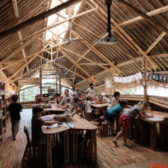 The Global Search for Education: The Green Leaders of Tomorrow