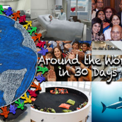 Around the World in 30 Days – April 2019