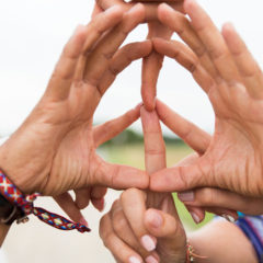 The Global Search for Education: Creating a World Without Violence