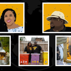 Eğitim Global Arama: Detroit Hives ile Yaşamları Yeniden İnşa Etmek