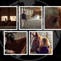 The Global Search for Education: Eveline Levin’s Unharnessed Explores a Rehabilitation Program for Youth Survivors of Sex Trafficking.