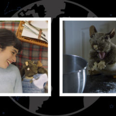 The Global Search for Education: Directors Justin and Kristin Schaack on Falling in Love with Fairy Tail