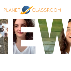 Ladder of Inference Illustrates How People React Based on Their Biases and Beliefs