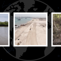 The Global Search for Education: Filmmaker Kalyanee Mam on Connecting to the Land, the Forests and the Oceans Around Us.