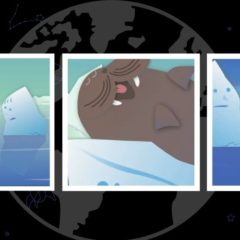 جهانی جستجو برای آموزش و پرورش: فیلم انیمیشن جذاب باربارا وایتینگ به جوانان درباره خطرات تغییرات آب و هوایی می آموزد