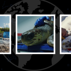 The Global Search for Education: Director Line Hadsbjerg on How We Get Plastic Pollution Out of Our Lives