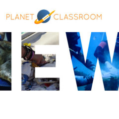 Line Hadsbjerg’s Out of Plastic Presents the Daunting Issue of Plastic in Our Oceans