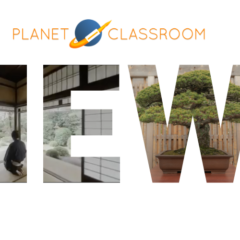 An Immersive Journey Through the Life of One of the Most Revered Trees in the World