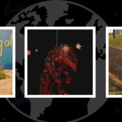 The Global Search for Education: Directors Adam Hersko-RonaTas and Elodie Freymann Are Focused on Pangolin Conservation