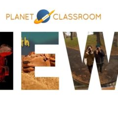 Danglin’ Pangolin: The Alarming Plight of the World’s Most Trafficked Mammal