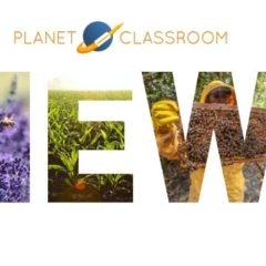 Student Film Asks that We Save the Bees and Save the Planet