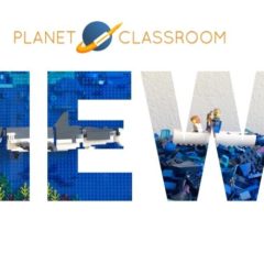 Great White Sharks: An Imaginative Lego-Animated Film on Protecting Our Deep Sea Predators