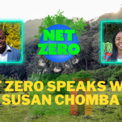 全球搜索教育: 气候活动家 Levy Nyirenda 采访世界资源研究所的 Susan Chomba
