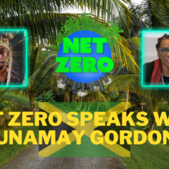 A Global Search for Education: Kasike Kalaan Nibonrix Kaiman klímaaktivistának van 3 Kulcsszavak a Net Zero interjúból a jamaicai UnaMay Gordonnal