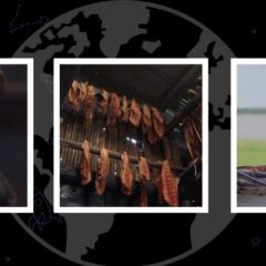 The Global Search for Education: Where Have All the Yukon Salmon Gone?