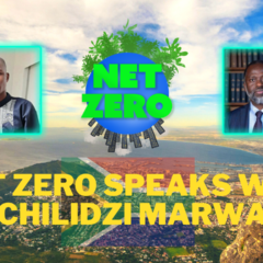 تعلیم کے لئے گلوبل تلاش: آب و ہوا کے سرگرم کارکن Mphathesithe Mkhize Tshilidzi Marwala کا انٹرویو لے رہے ہیں۔