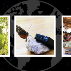 The Global Search for Education: Director Kate Boylan-Ascione Discusses The Butterfly Effect