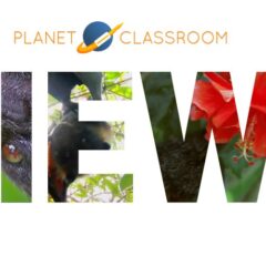 The Future of the Fanihi Is Far from Secure