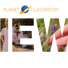 Hello Frisco, Goodbye Clarity