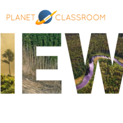 Which Amazon Is More Important to You?