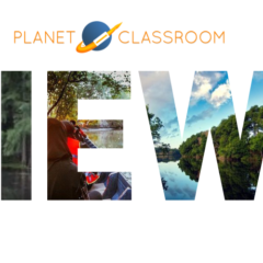 Olyvia Young and Drew Borden’s Mangroves and Reforestation: Protecting Nature-Based Solutions