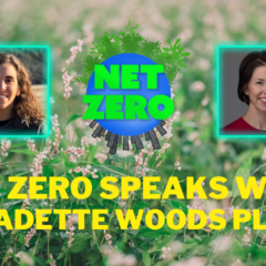 The Global Search for Education: Climate Activist Ana Hanhausen Interviews Award Winning Meteorologist Bernadette Woods Placky