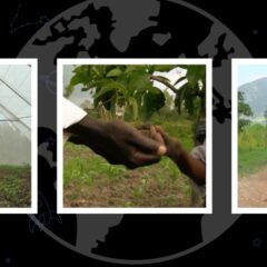 The Global Search for Education: Healing the Land