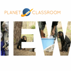 Jane Goodall’s Impact in Seven Moments