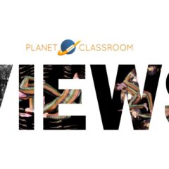 Peacock: Visual Poetry in Motion