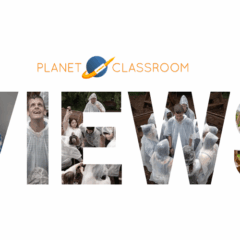 A23a: When Ice Speaks, Bodies Listen