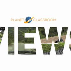 This Is My Place: Andean Bears & Belonging