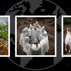 The Global Search for Education:  A23a: Dancing the Climate Crisis