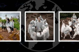 The Global Search for Education:  A23a: Dancing the Climate Crisis