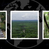 The Global Search for Education: The Giving Tree: Saving a Rainforest Culture