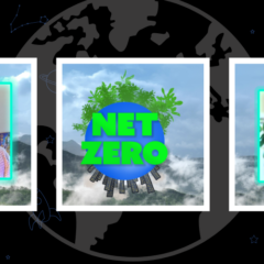 The Global Search for Education: Net Zero Speaks — Reshaping El Niño