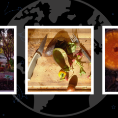 The Global Search for Education: Why Composting Matters for a Sustainable Future