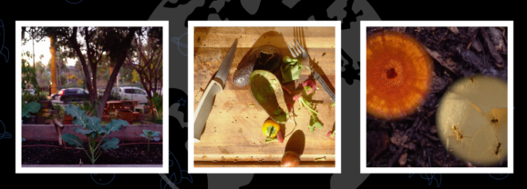 The Global Search for Education: Why Composting Matters for a Sustainable Future